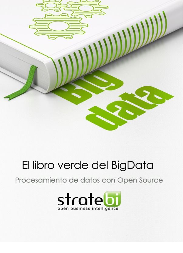 Imágen de pdf El libro verde del BigData