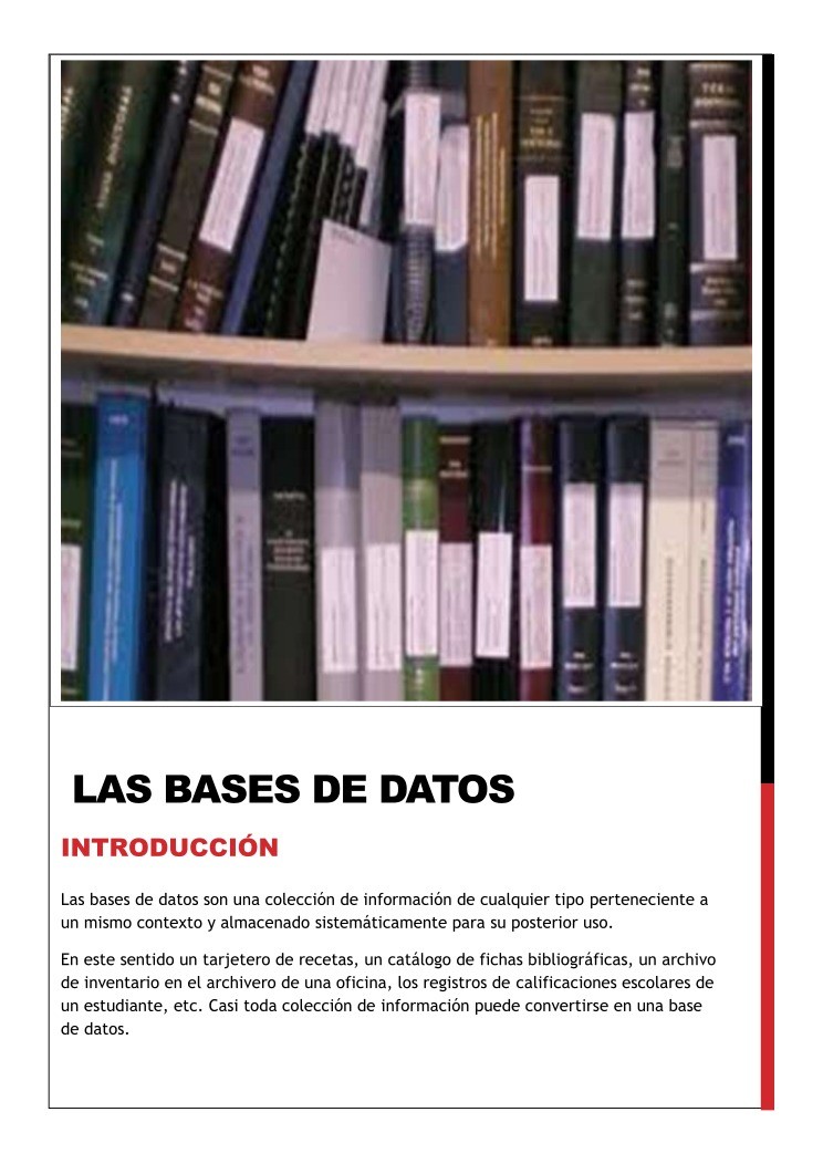Imágen de pdf LAS BASES DE DATOS