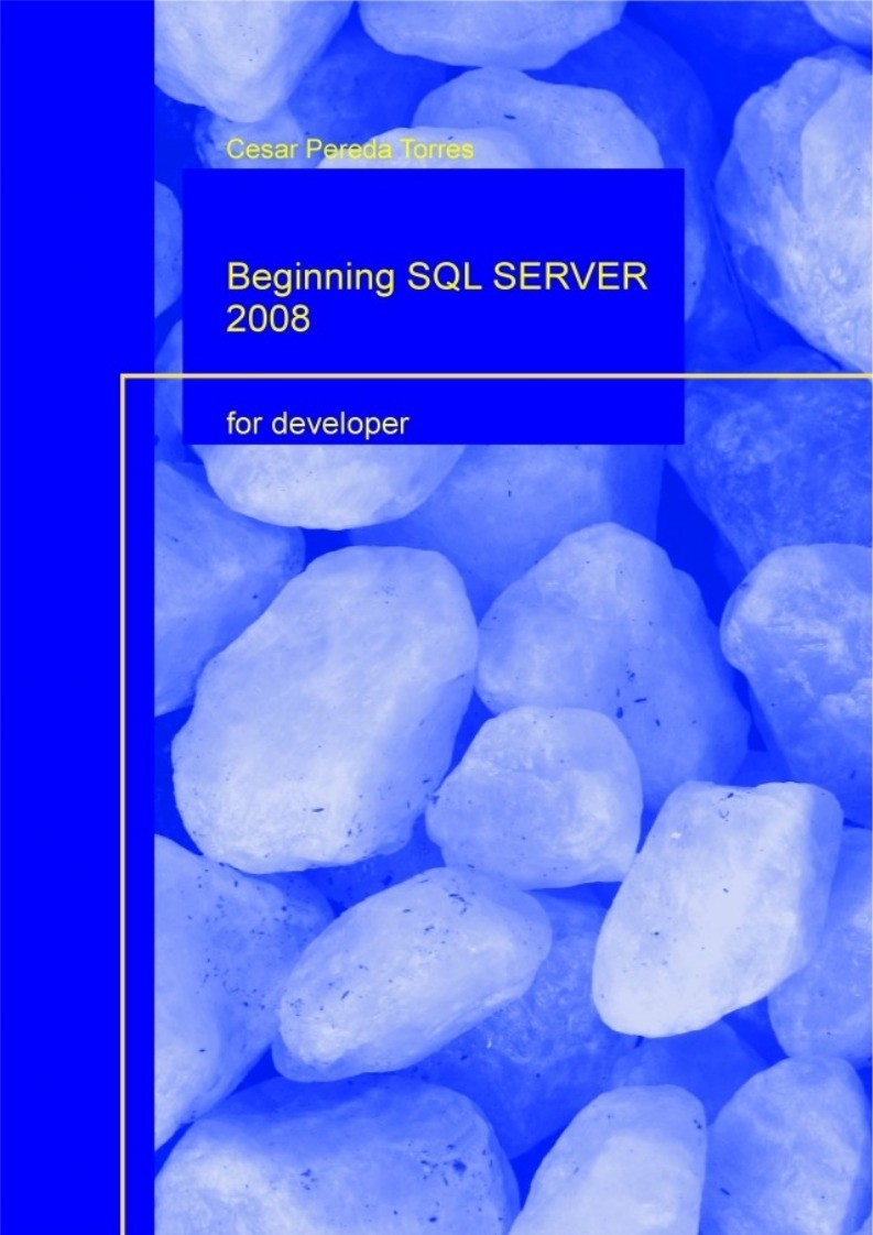 Imágen de pdf Beginning SQL SERVER 2008 for Developer