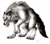 Imágen de perfil de Black Wolf