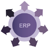 Escoger un ERP estándar o personalizado: ventajas y desventajas