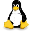 Se cumplen 30 años del sistema operativo Linux