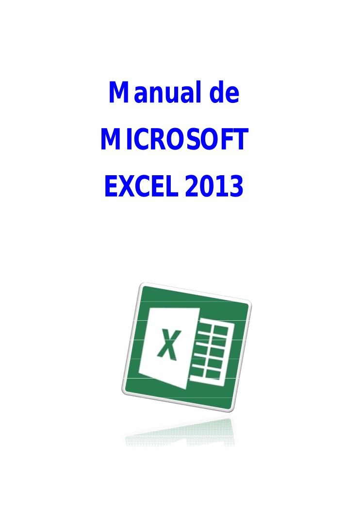 Imágen de pdf manual de Microsoft Excel 2013