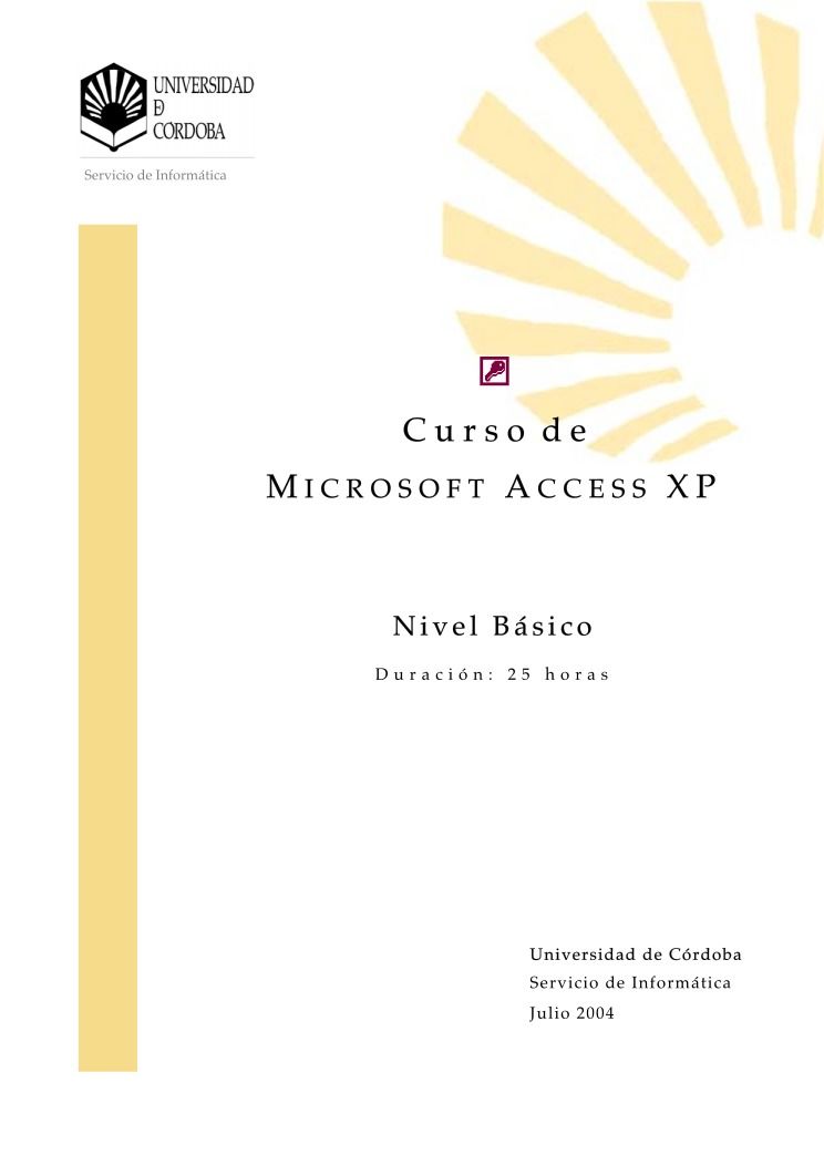 Imágen de pdf Manual de Microsoft Access XP - nivel básico -
