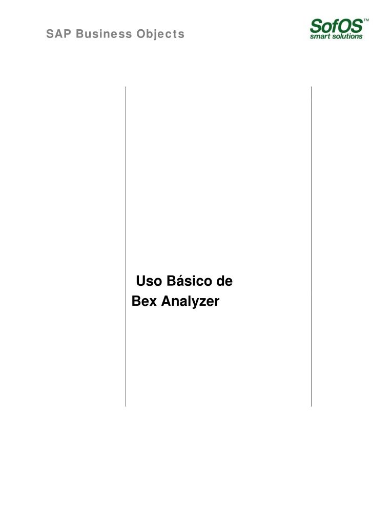 Imágen de pdf SAP Business Objects - Manual Usuario Bex Analyzer