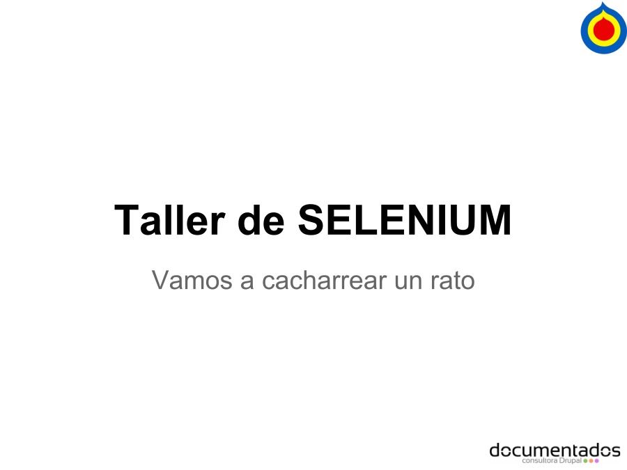 Imágen de pdf Taller de Selenium