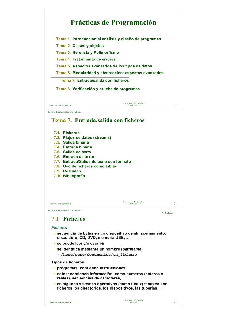 Imágen de pdf Prácticas de Programación - Tema 7. Entrada/salida con ficheros