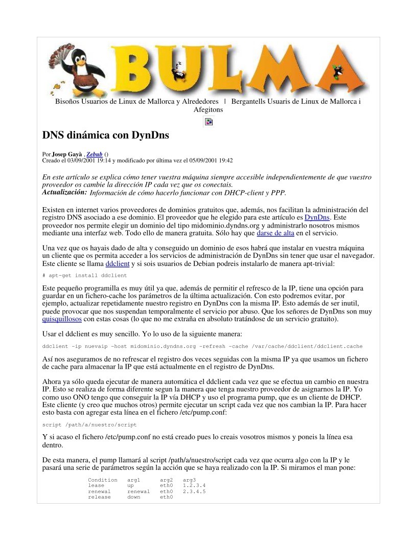 Imágen de pdf dns dinámica con DynDns