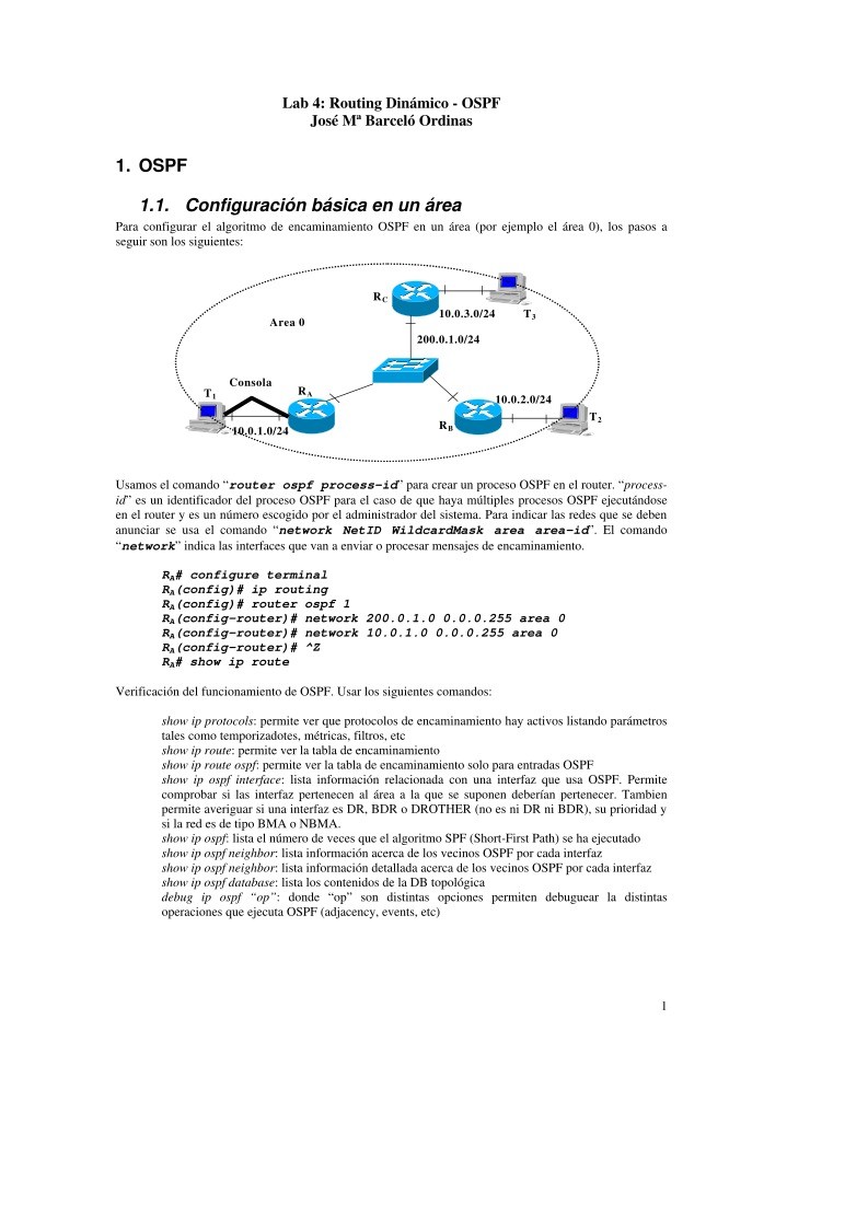 Imágen de pdf OSPF