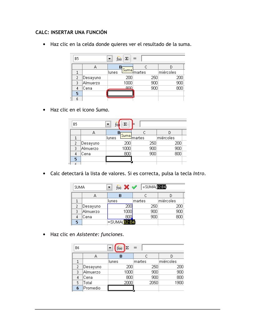 Imágen de pdf calc: insertar una función