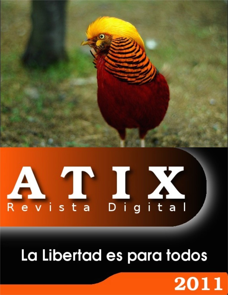 Imágen de pdf atix19