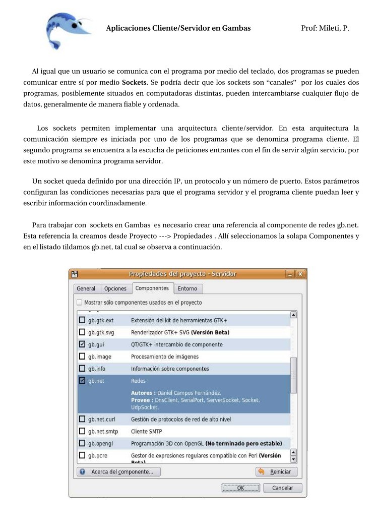 Imágen de pdf Aplicaciones Cliente/Servidor en Gambas