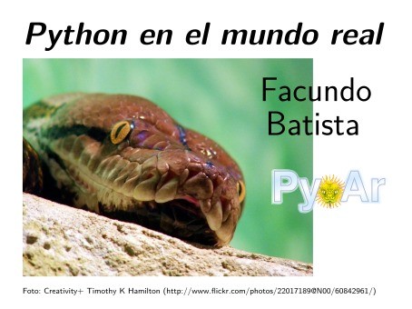 Imágen de pdf Python en el mundo real
