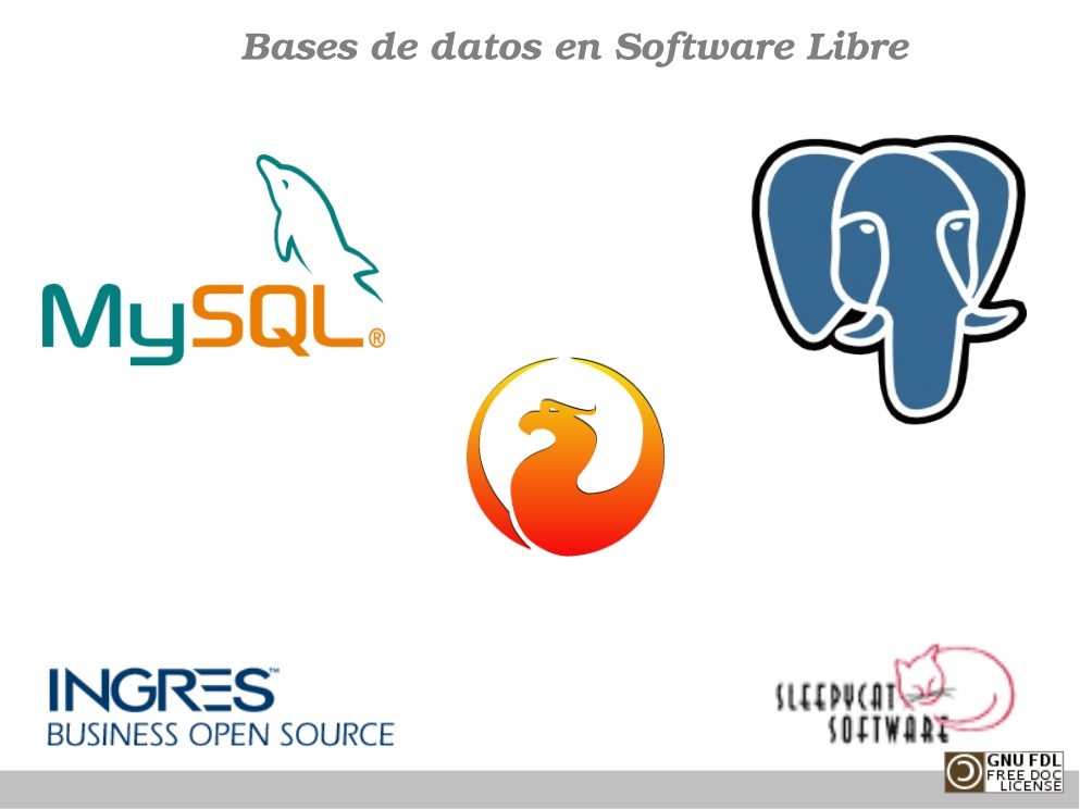 Imágen de pdf Bases de datos en Software Libre