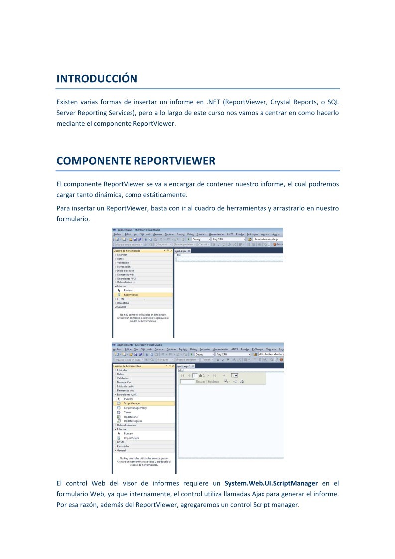 Imágen de pdf ReportViewer