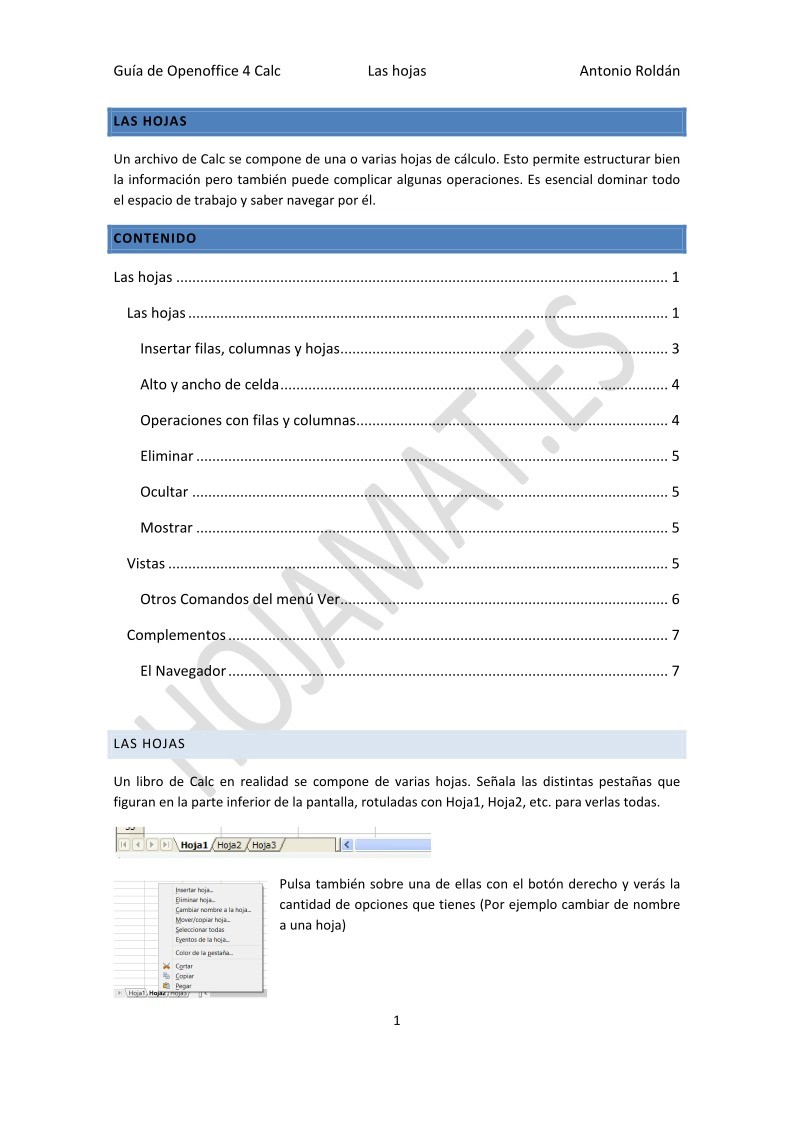 Imágen de pdf Guía de Apache OpenOffice 4 Calc - Las hojas