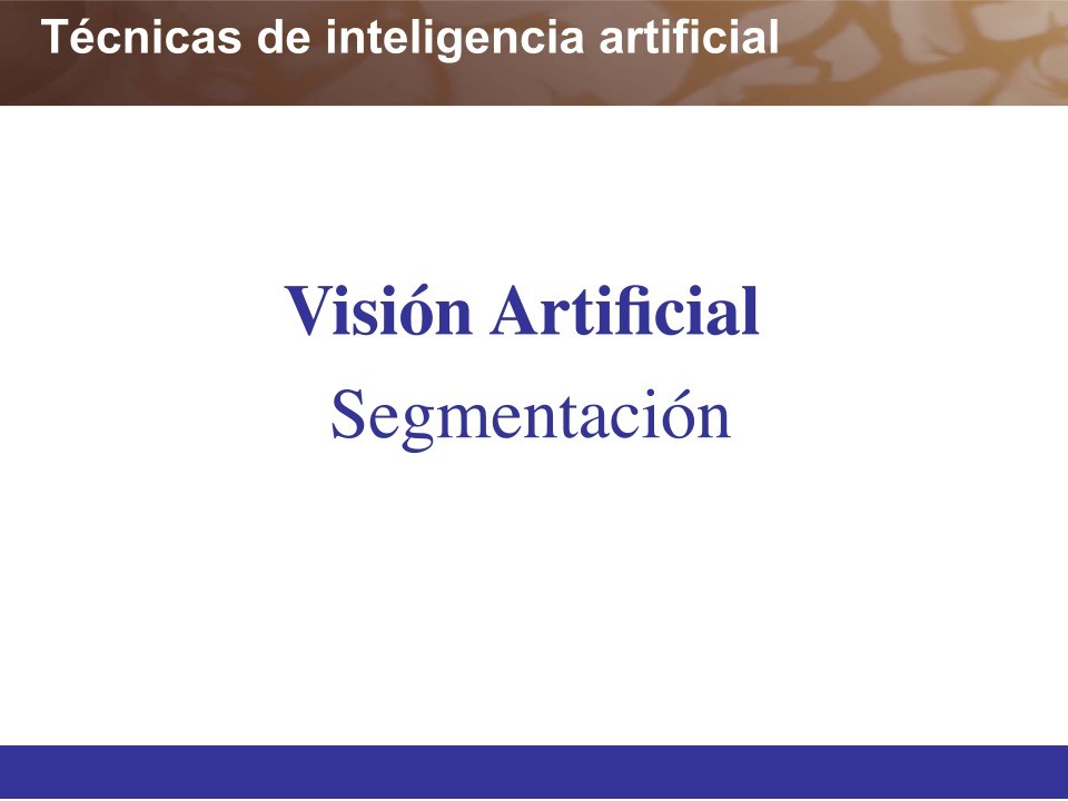 Imágen de pdf Técnicas de inteligencia artificial - Visión Artificial
