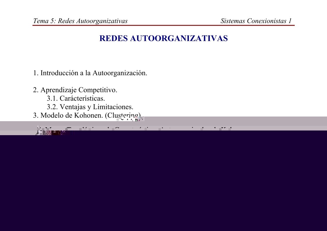 Imágen de pdf REDES AUTOORGANIZATIVAS