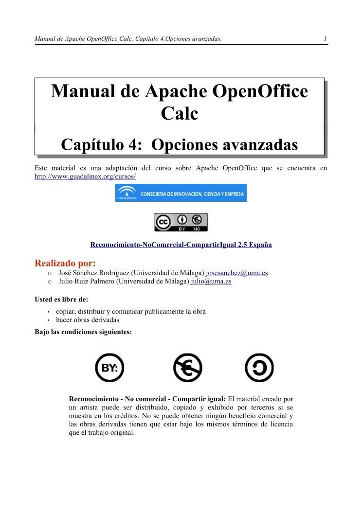Imágen de pdf Manual de Apache OpenOffice Calc - Capítulo 4: Opciones avanzadas