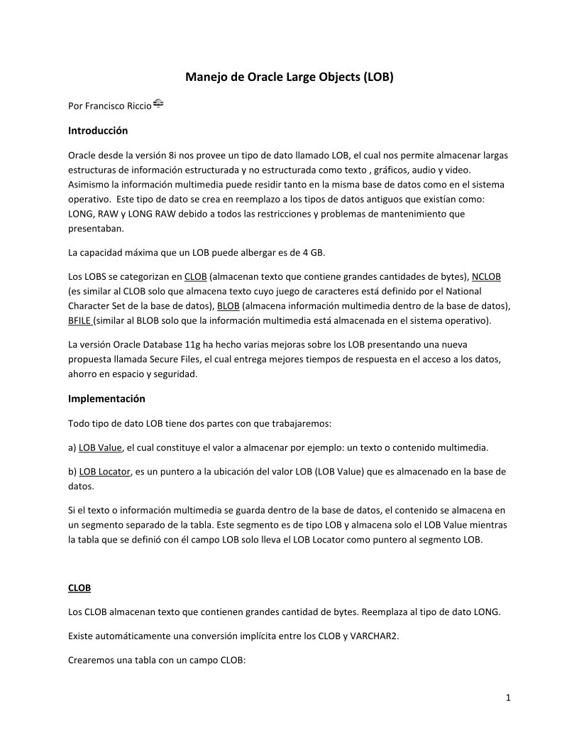 Imágen de pdf Manejo de Oracle Large Objects (LOB)