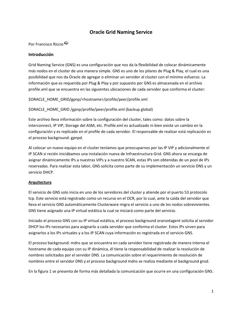 Imágen de pdf Oracle Grid Naming Service
