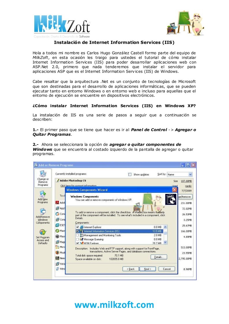 Imágen de pdf Instalación de Internet Information Services (IIS)