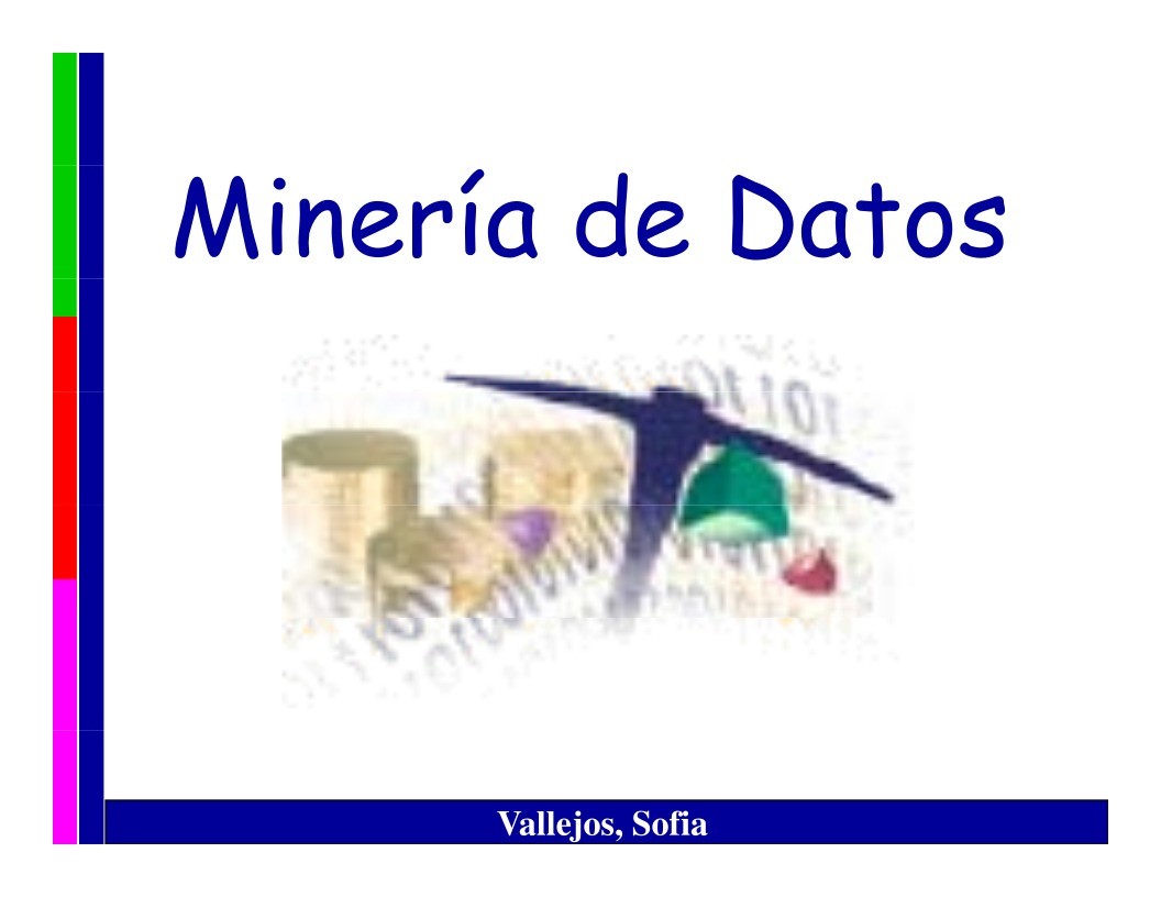 Imágen de pdf Minería de Datos