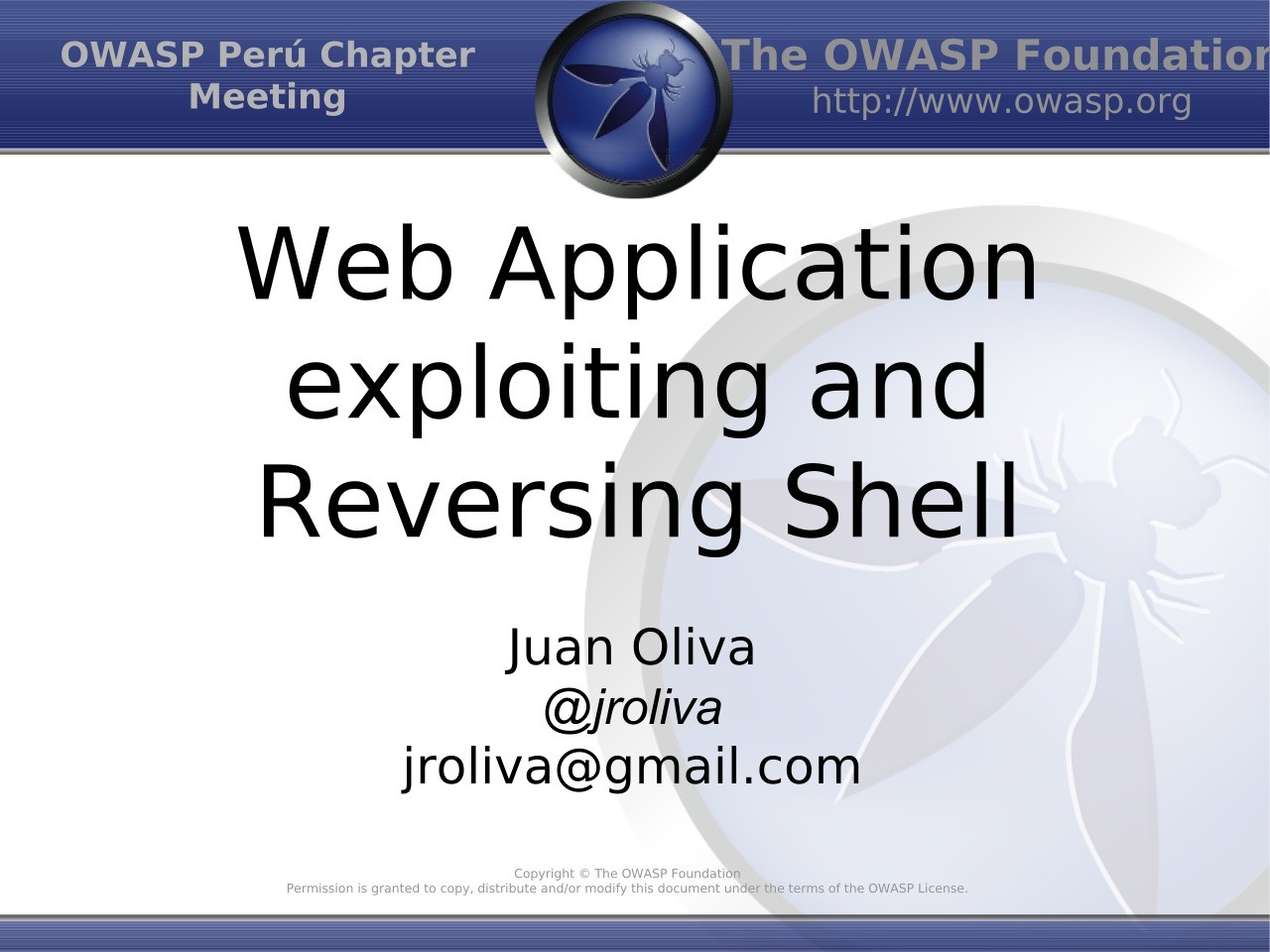 Imágen de pdf Web Application exploiting and Reversing Shell