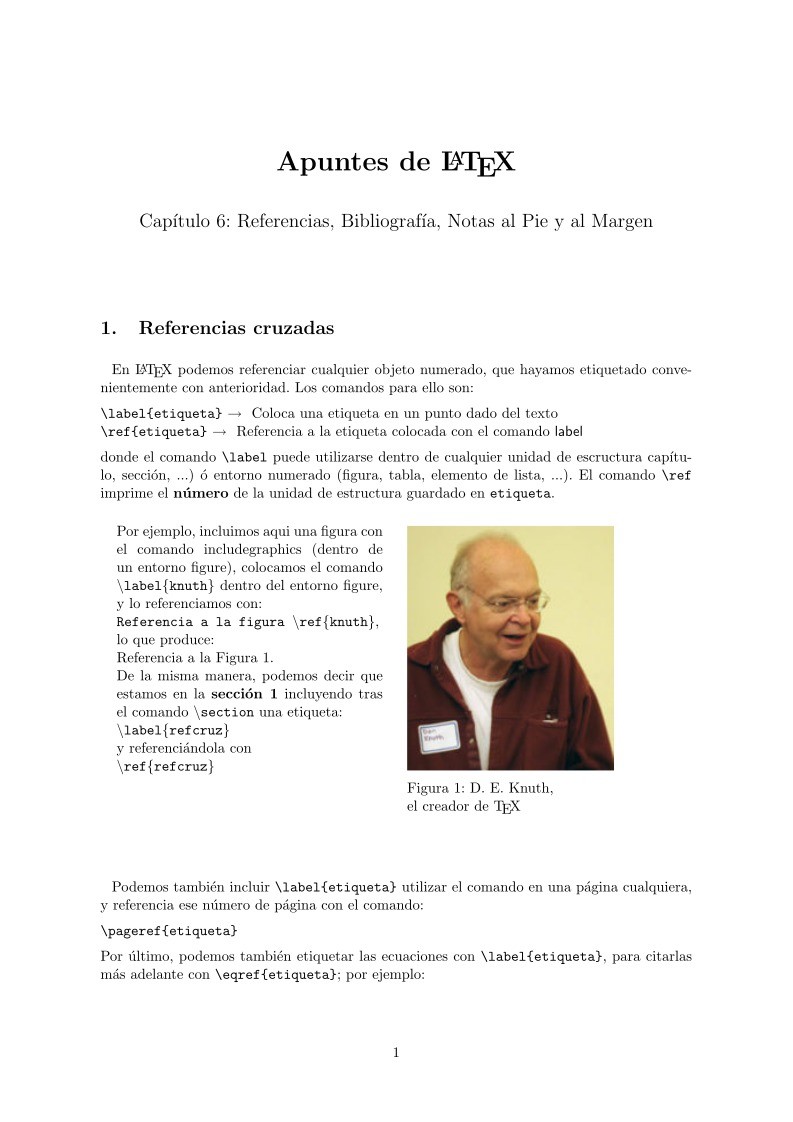 Imágen de pdf Apuntes de LATEX Capítulo 6: Referencias, Bibliografía, Notas al Pie y al Margen