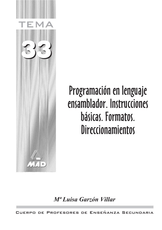 Imágen de pdf Programación en lenguaje ensamblador. Instrucciones básicas. Formatos. Direccionamientos