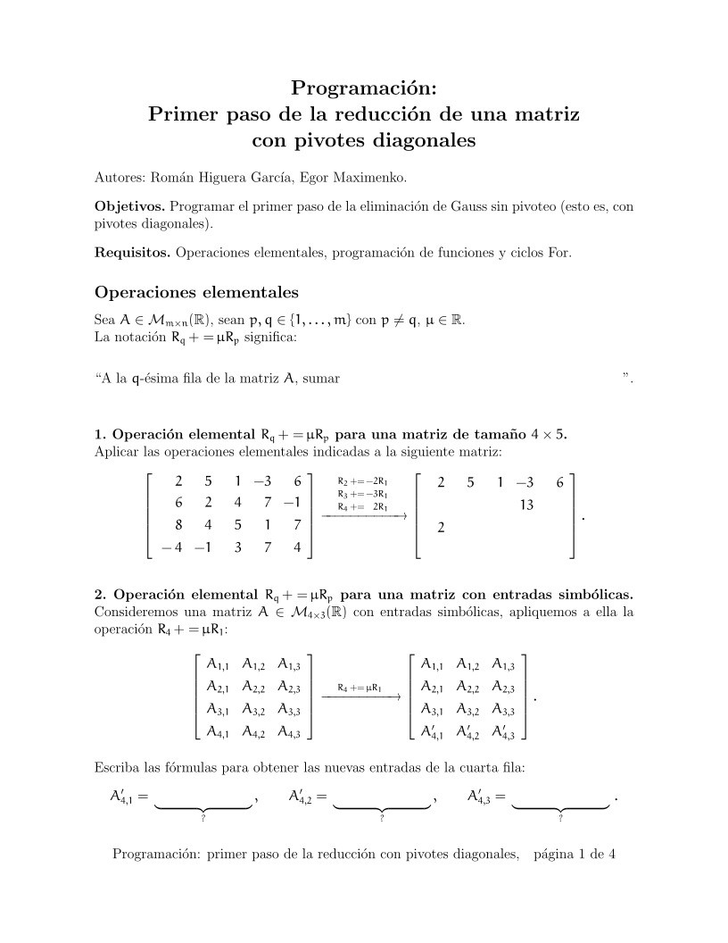 Imágen de pdf Programación: Primer paso de la reducción de una matriz con pivotes diagonales