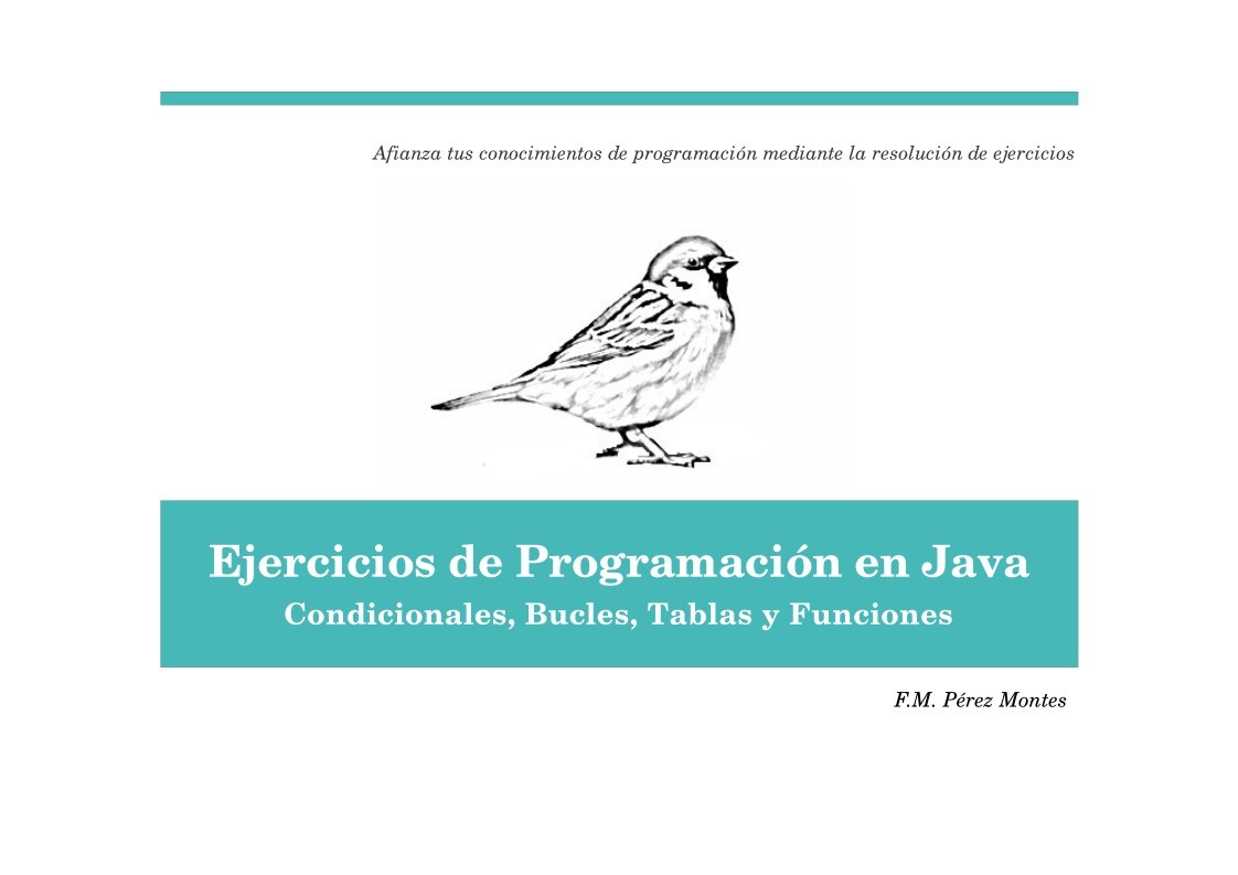 Imágen de pdf Ejercicios de Programación en Java - Condicionales, Bucles, Tablas y Funciones