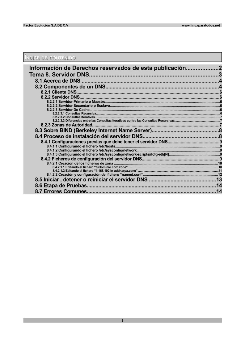 Imágen de pdf Tema 8. Servidor DNS