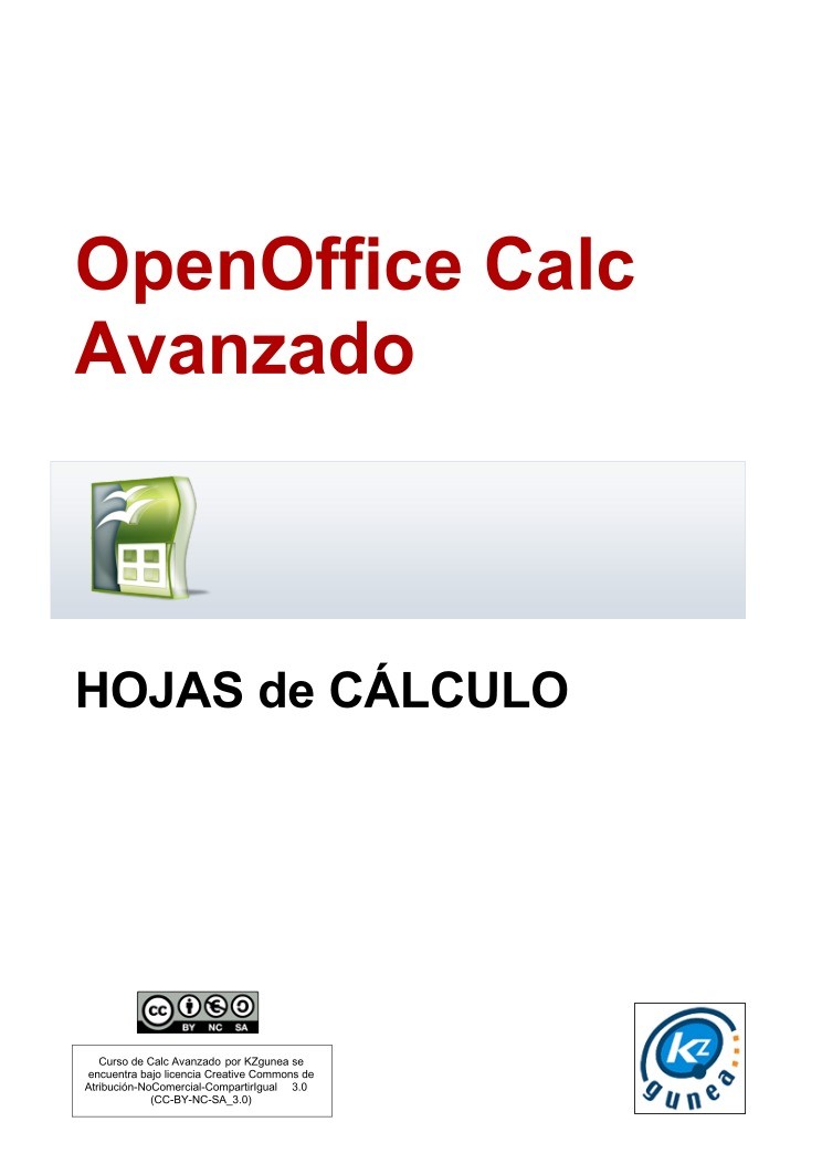 Imágen de pdf Open Office Calc: Avanzado