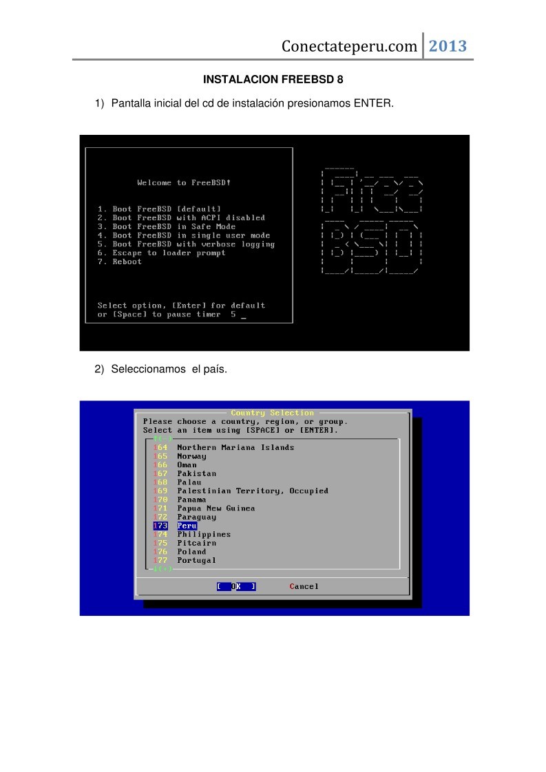 Imágen de pdf Instalación FreeBSD 8