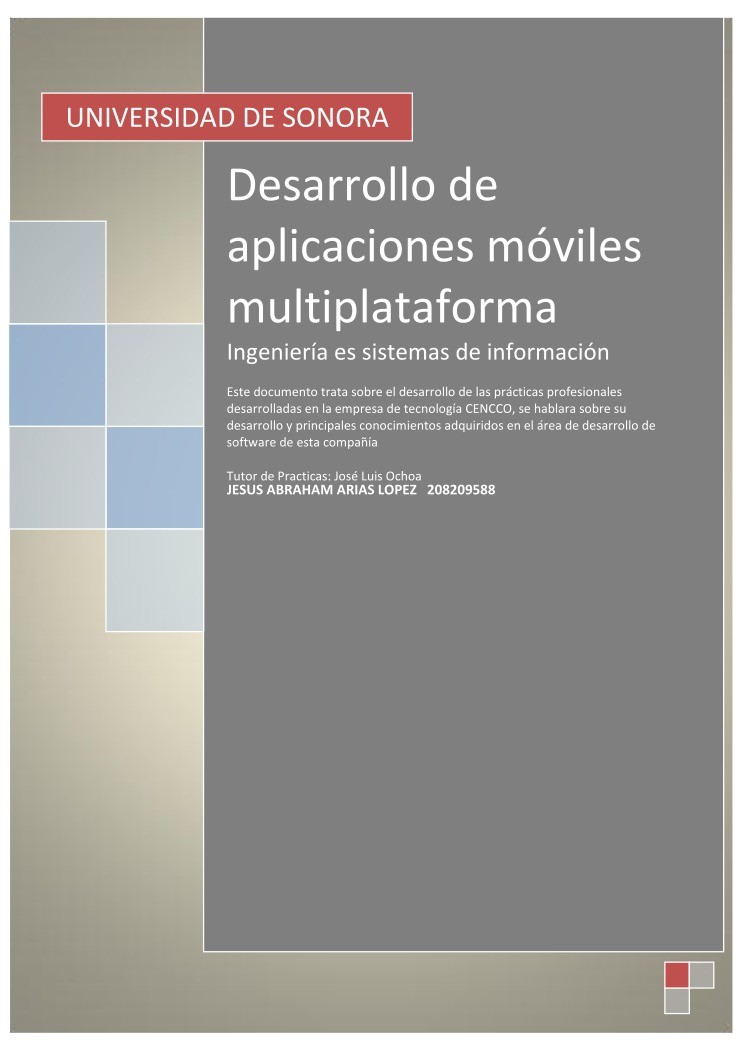 Imágen de pdf Desarrollo de aplicaciones móviles multiplataforma