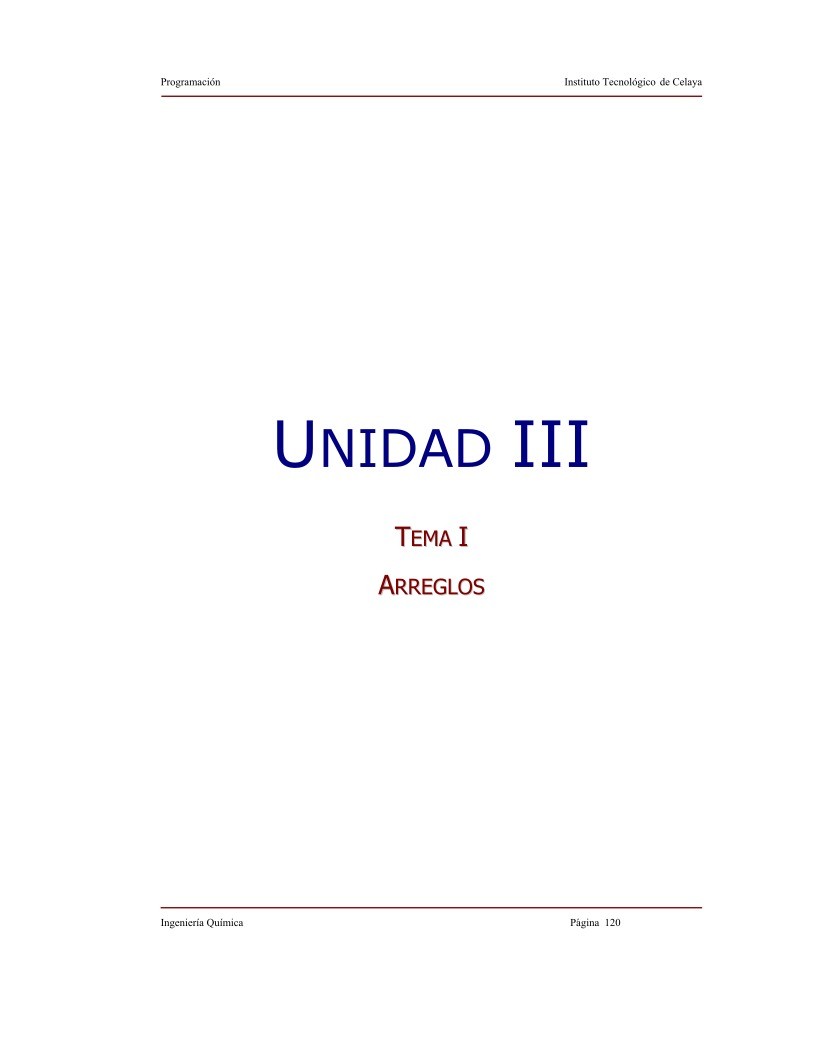Imágen de pdf Unidad III - Tema I - Arreglos