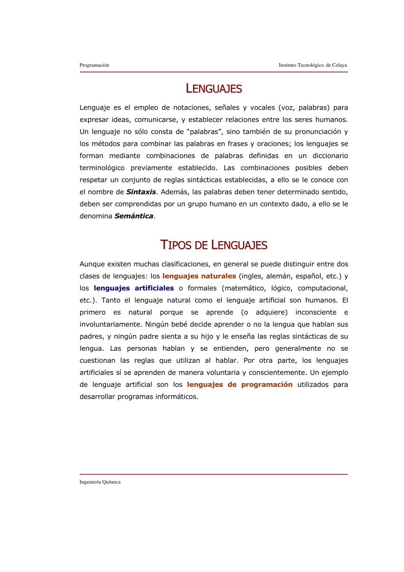 Imágen de pdf Lenguajes