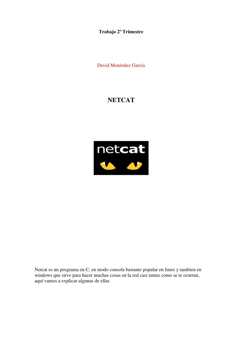 Imágen de pdf netcat