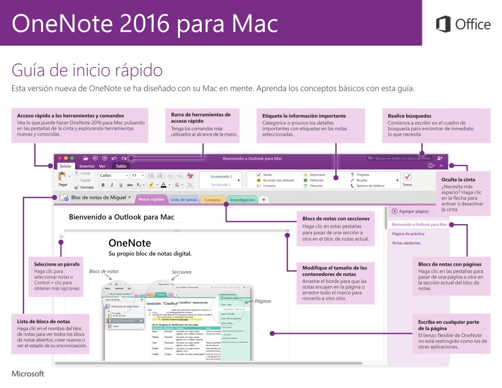 Imágen de pdf OneNote 2016 para Mac - Guía de inicio rápido