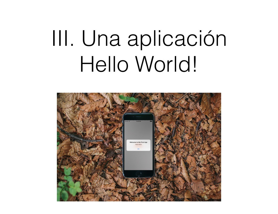 Imágen de pdf III. Una aplicación Hello World!