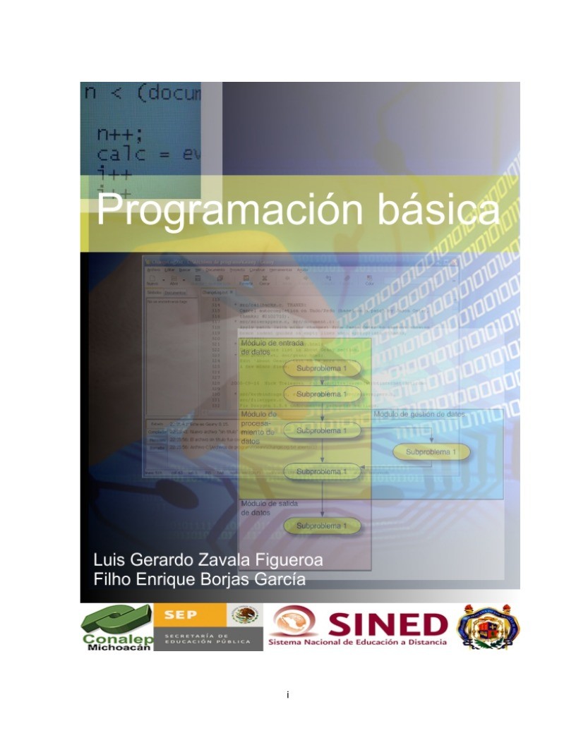 Imágen de pdf Programación básica