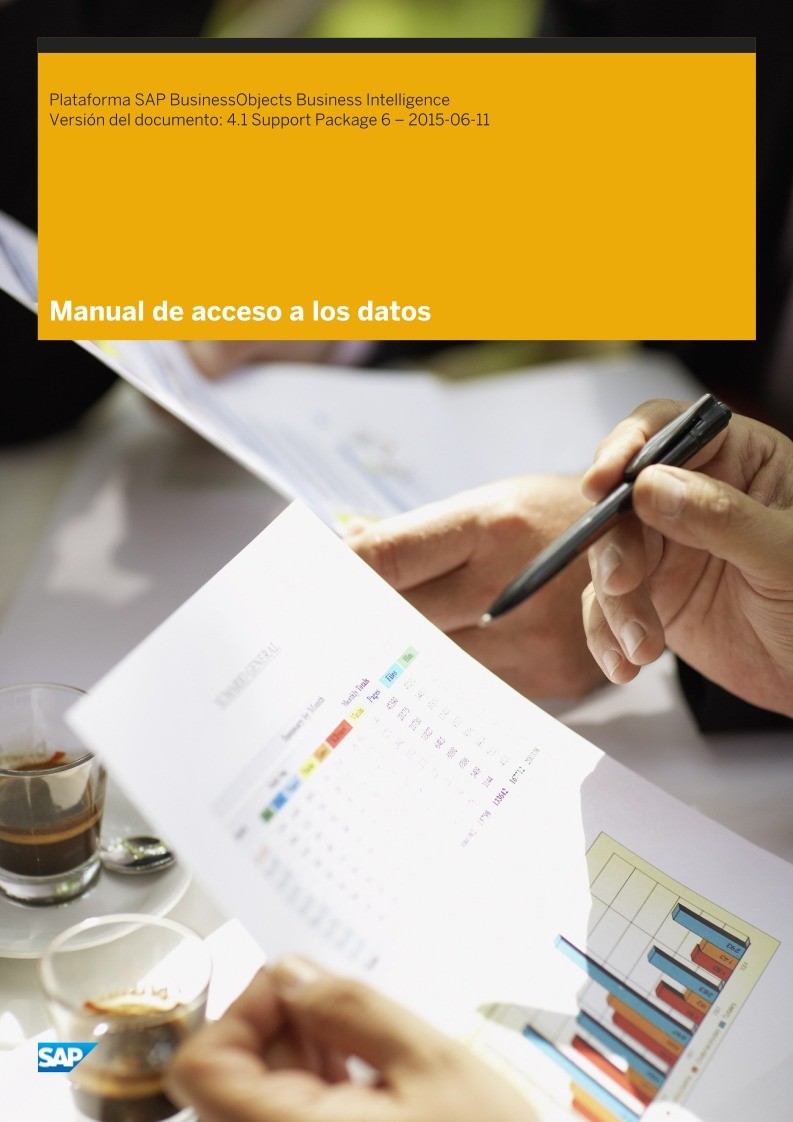 Imágen de pdf Plataforma SAP BusinessObjects Business Intelligence - Manual de acceso a los datos