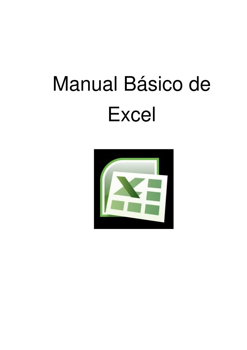 Imágen de pdf Manual Básico de Excel-2007