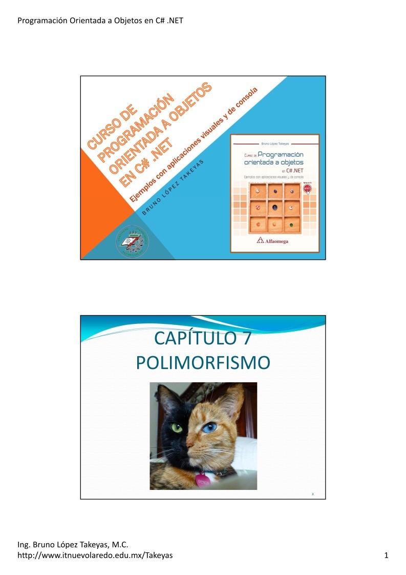Imágen de pdf 07.- Polimorfismo - Programación Orientada a Objetos en C# .NET