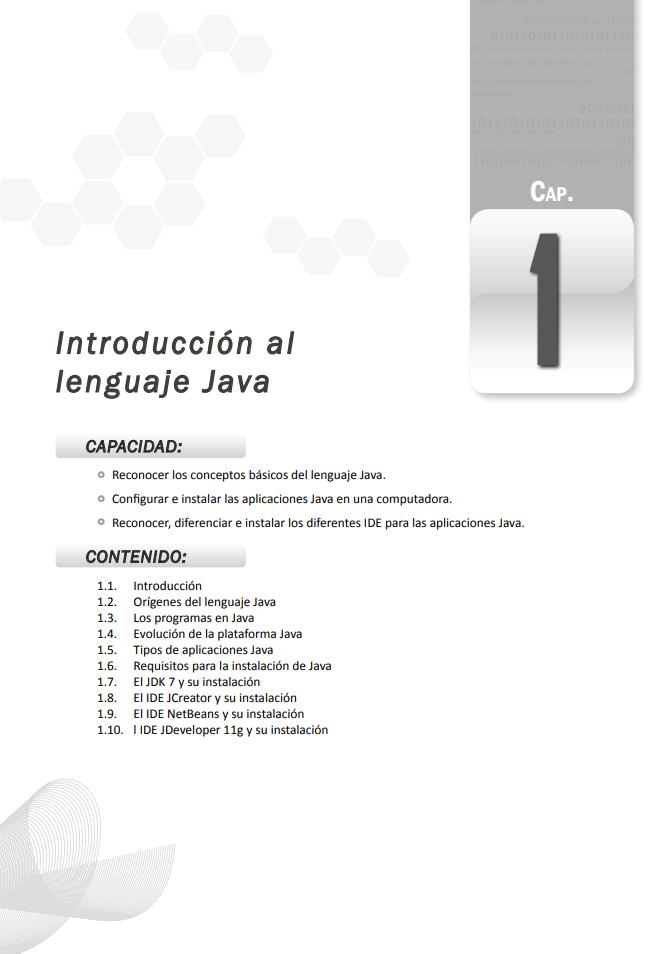 Imágen de pdf Introducción al lenguaje Java