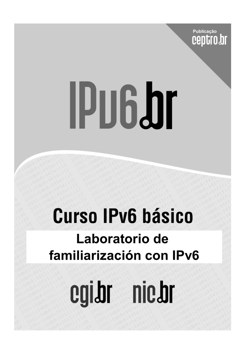 Imágen de pdf Curso IPv6 básico