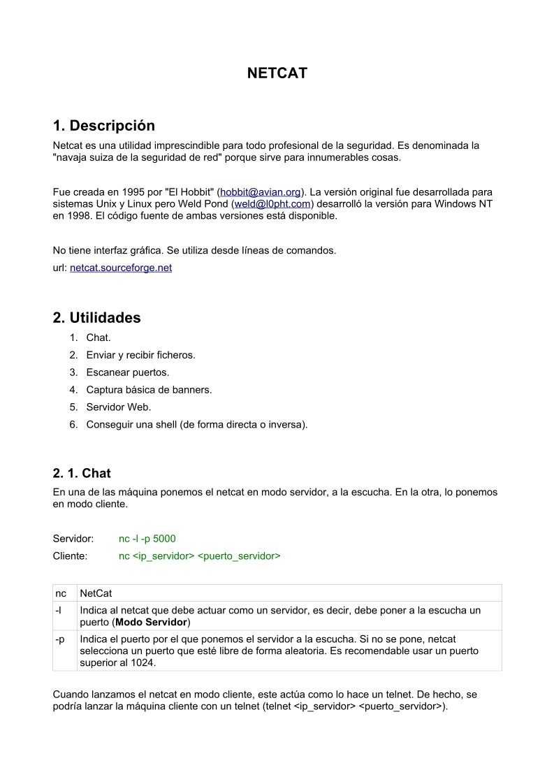 Imágen de pdf Manual netcat