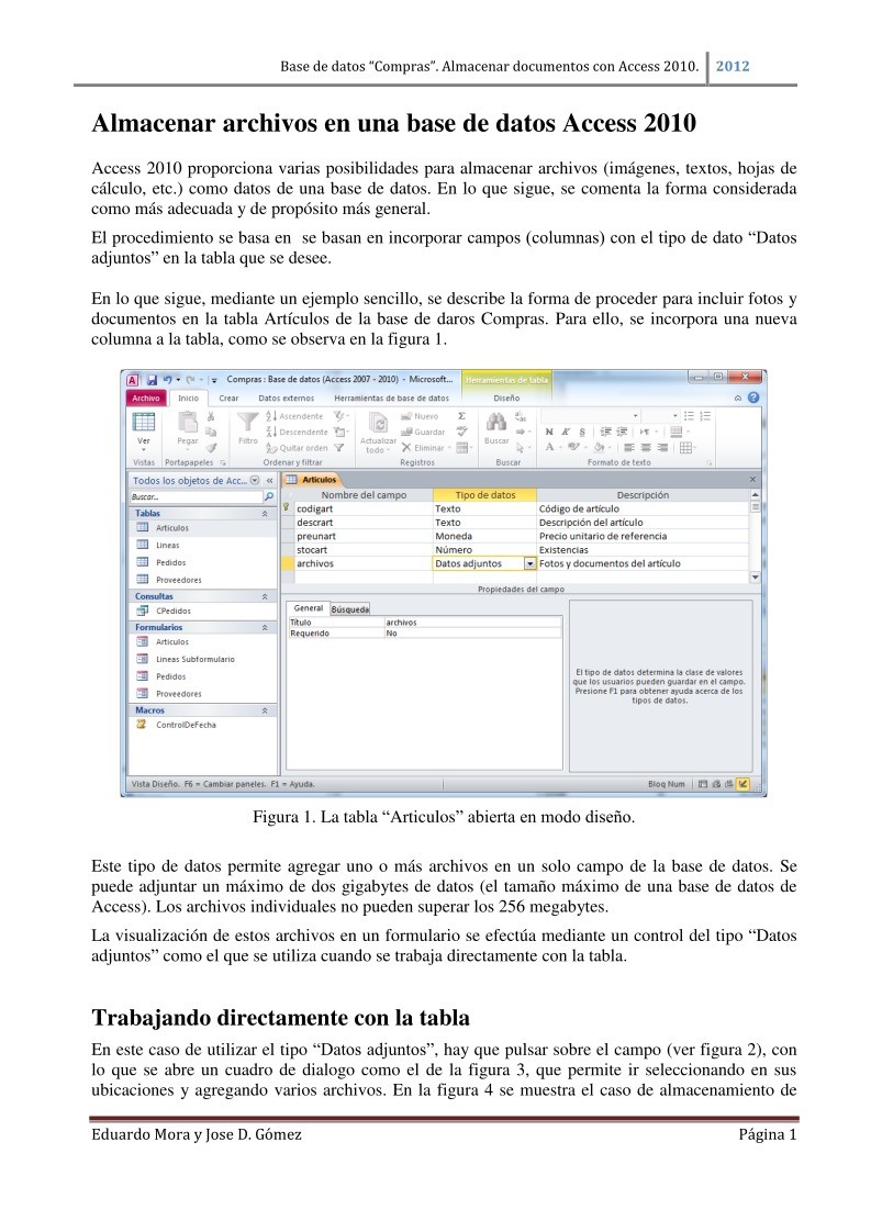 Imágen de pdf Almacenar archivos en una base de datos Access 2010