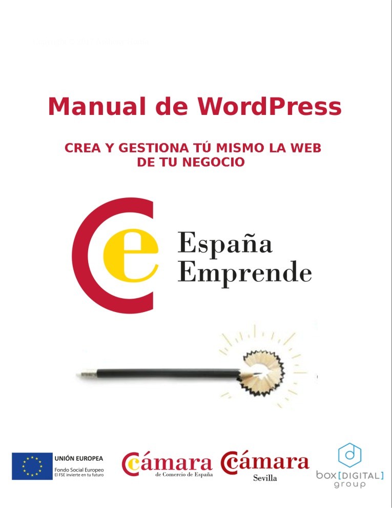 Imágen de pdf Manual de WordPress - Crea y gestiona tú mismo la web de tu negocio
